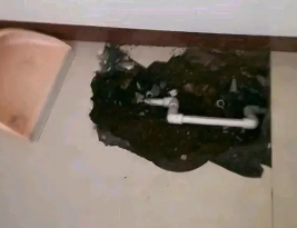 雄安卫生间测漏水多少钱